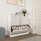 2 Tier Shoe Storage Cabinet with Draders for Entryway,Bedroom,Flip Door Design Shoe Cabinet