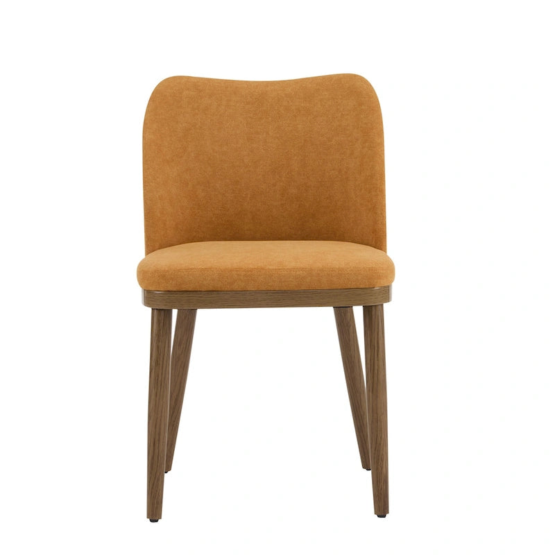 Aviana Fabric Upholstered Dining Chairs (Set of 2) by Christopher Knight Home
