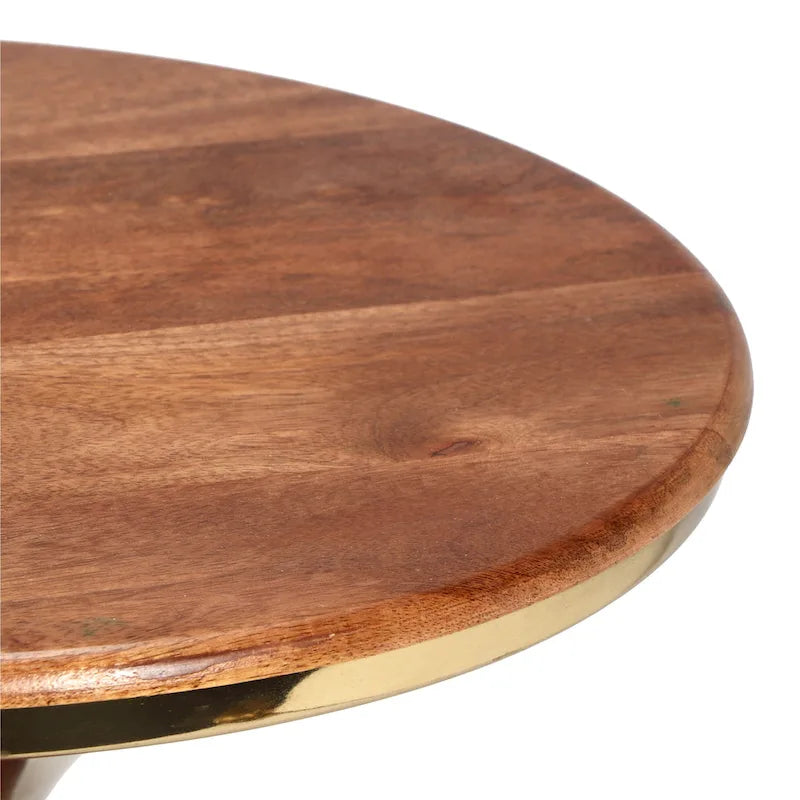 Christopher Knight Home Mango Wood and Metal End Table