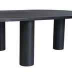 Kali Oval Mango Wood Coffee Table by East at Main