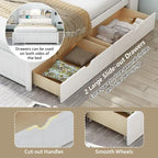 Wood Platform Bed with Bookcase Headboard, Built-in Downlight, Charging Station & 2 Side Drawers