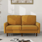 56.88 Modern Couch Velvet Loveseat Sofa for Living Room Furniture