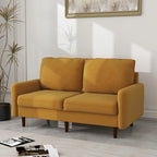 56.88 Modern Couch Velvet Loveseat Sofa for Living Room Furniture