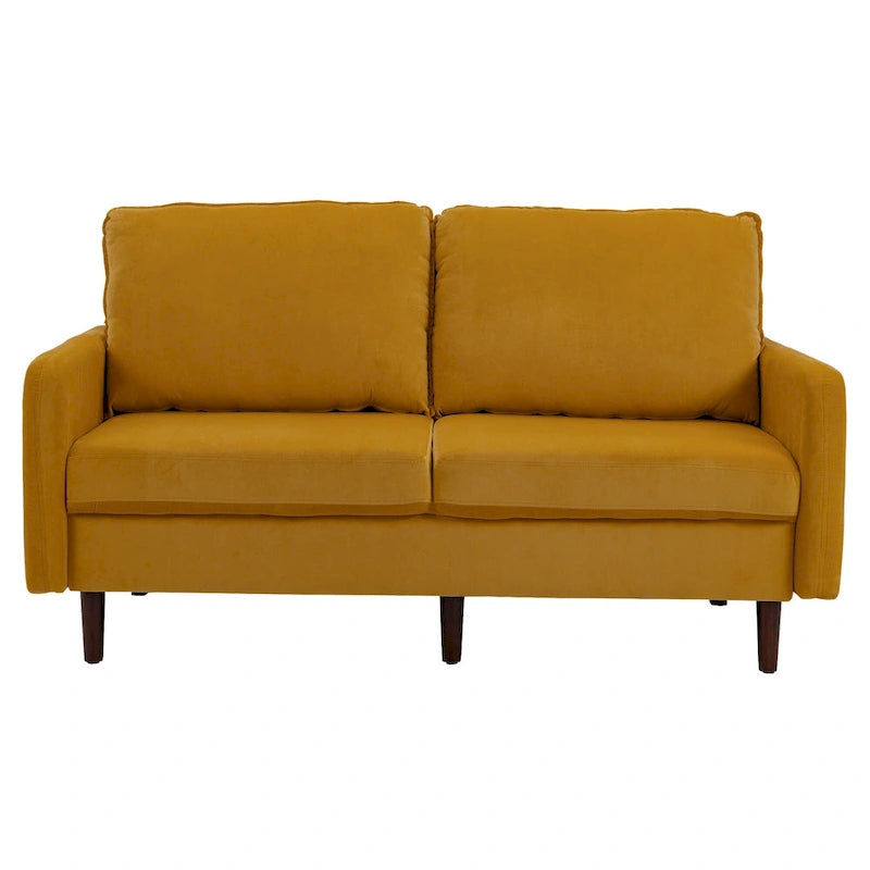 56.88 Modern Couch Velvet Loveseat Sofa for Living Room Furniture