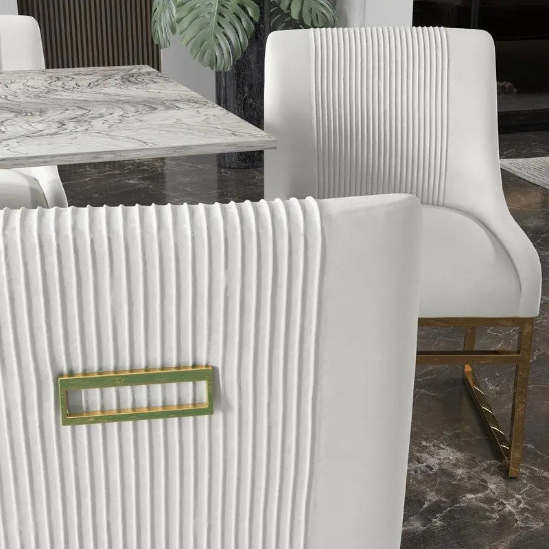 SEYNAR Contempoary Velvet Dining Chair with Metal Frame Legs, set of 2
