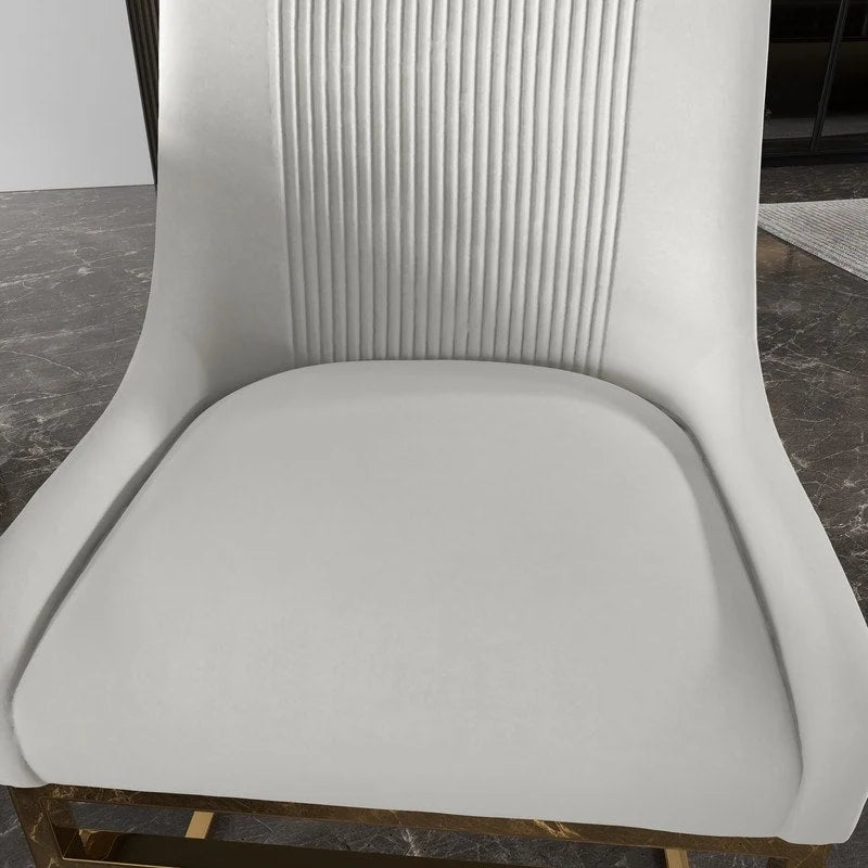 SEYNAR Contempoary Velvet Dining Chair with Metal Frame Legs, set of 2