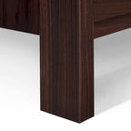 Olimont Contemporary 2 Drawer Nightstand by Christopher Knight Home