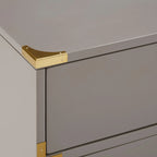 Kedric 5-Drawer Gold Accent Chest by iNSPIRE Q Bold