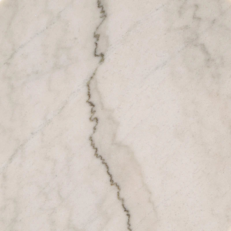 Egan Champagne Silver Finish Round Marble Top End Table by iNSPIRE Q Modern
