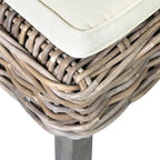 Natural Rattan Cushioned Dining Chairs by East at Main (Set of 2)