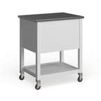 Eileen Rolling Kitchen Cart with Storage