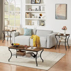 3-Piece Occasional Coffee Table Set, Vintage Living Room Set with 2 End Table