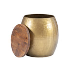 Kayvon Drum Side Table with Storage Gold