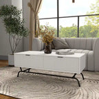 DH BASIC Modern 42-inch 2-Drawers Coffee Table with Metal Legs by Denhour