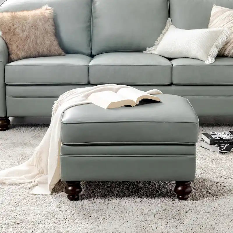 Irene Contemporary Genuine Leather Water Resistant Ottoman by HULALA HOME