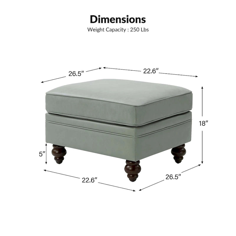 Irene Contemporary Genuine Leather Water Resistant Ottoman by HULALA HOME
