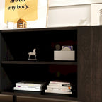 Entertainment Centers TV Stand With 2 Doors