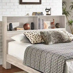 Malins Bookcase Queen Platform Bed with USBs by iNSPIRE Q Classic
