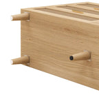59.066-Drawers Rattan Storage Cabinet with White Drawer Slides