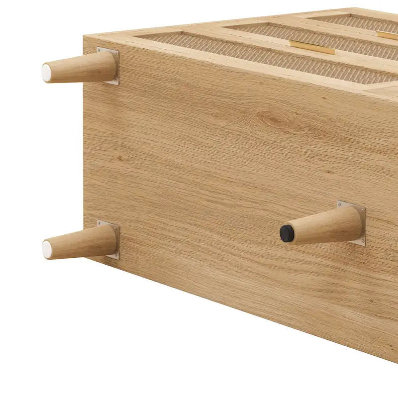 59.066-Drawers Rattan Storage Cabinet with White Drawer Slides