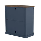 32 Compact TV Stand for 40 TVs w/ Barn Door Design - 32 in Width
