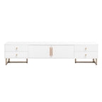65+ Inch Modern TV Stand with Storage for Living Room