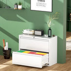 2 Drawer Metal Lateral Filing Cabinet with Lock