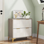 File Cabinet with 2 Drawers, Lateral Filing Cabinet with Adjustable Hanging Bar