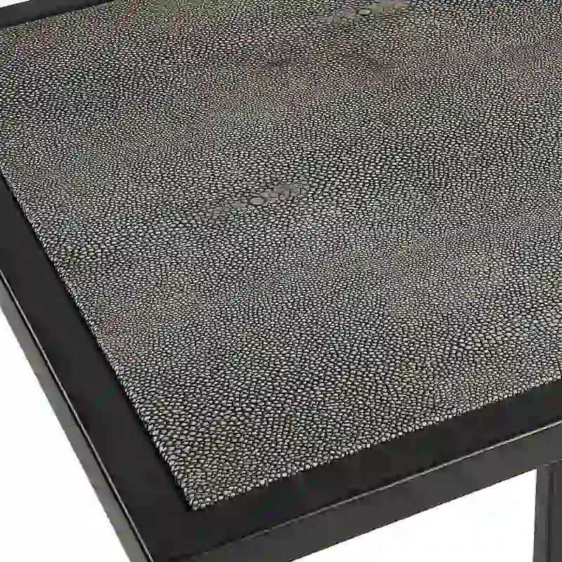 Antique Black Iron and Shagreen Accent Table by Matthew Williams