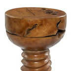 Teak Wood Handmade Live Edge Side End Accent Table with Coiled Base - Brown - Roche River Decor