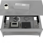 Salinas Lift Top Coffee Table Desk with Storage by Bush Furniture