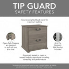 Homestead Farmhouse Lateral File Cabinet by Bush Furniture